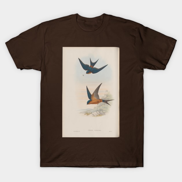 Swallows T-Shirt by pocketlama